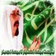 حب الوطن