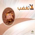 التحكم بالأعصـــــاب .... فن و هندســـــــــة 