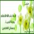 مأجمل الرضا